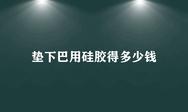 垫下巴用硅胶得多少钱