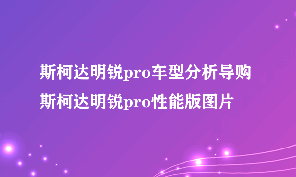 斯柯达明锐pro车型分析导购 斯柯达明锐pro性能版图片