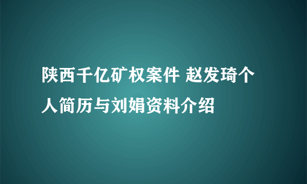 陕西千亿矿权案件 赵发琦个人简历与刘娟资料介绍