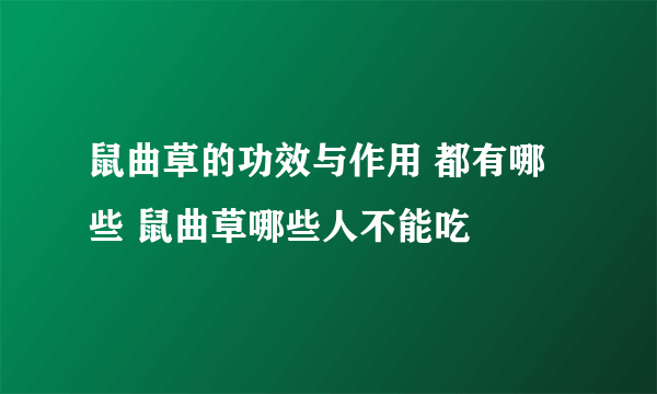 鼠曲草的功效与作用 都有哪些 鼠曲草哪些人不能吃