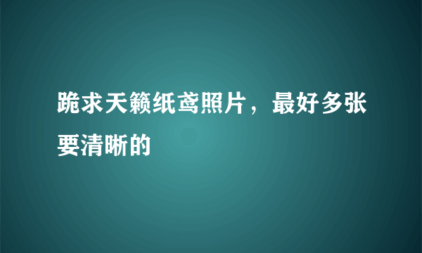 跪求天籁纸鸢照片，最好多张要清晰的