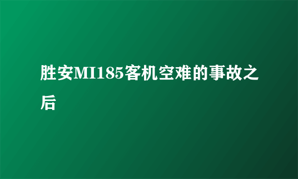 胜安MI185客机空难的事故之后