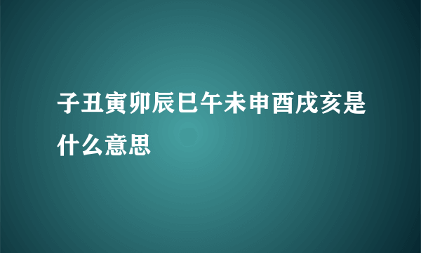 子丑寅卯辰巳午未申酉戌亥是什么意思