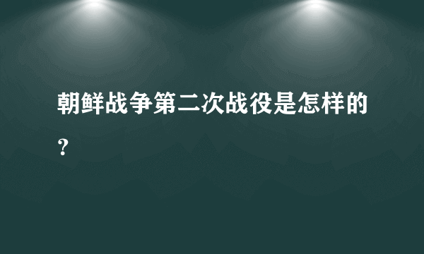 朝鲜战争第二次战役是怎样的？