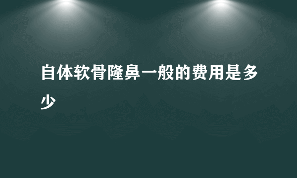 自体软骨隆鼻一般的费用是多少