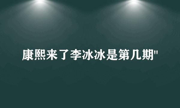 康熙来了李冰冰是第几期