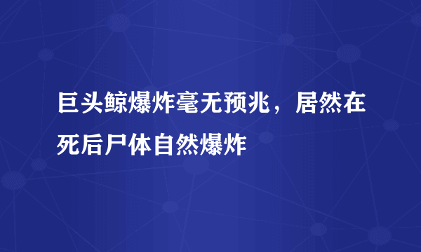 巨头鲸爆炸毫无预兆，居然在死后尸体自然爆炸 