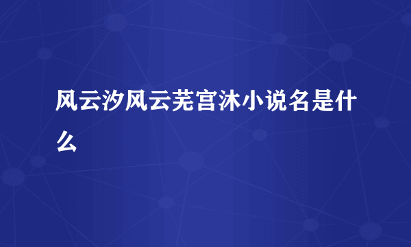 风云汐风云芜宫沐小说名是什么