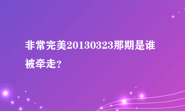 非常完美20130323那期是谁被牵走？