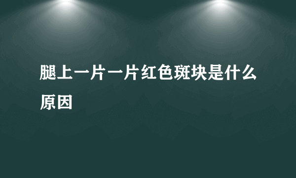 腿上一片一片红色斑块是什么原因