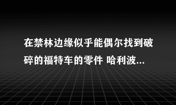 在禁林边缘似乎能偶尔找到破碎的福特车的零件 哈利波特9.29拼图寻宝攻略