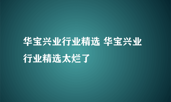 华宝兴业行业精选 华宝兴业行业精选太烂了