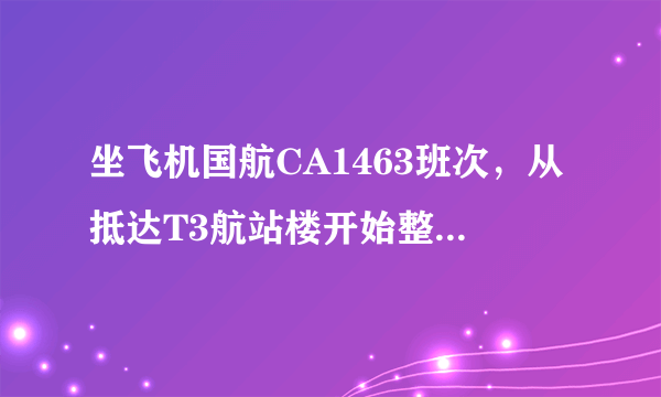 坐飞机国航CA1463班次，从抵达T3航站楼开始整个过程该怎么做？什么流程？该注意什么？