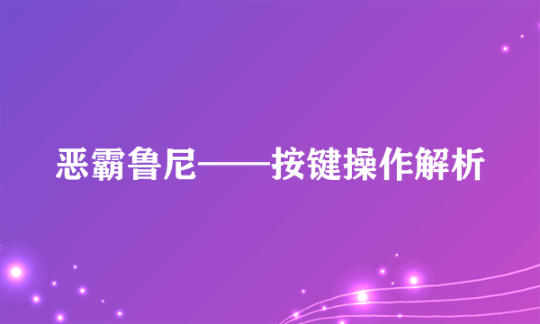 恶霸鲁尼——按键操作解析