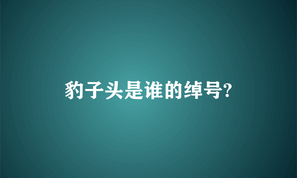 豹子头是谁的绰号?