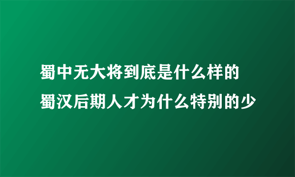 蜀中无大将到底是什么样的 蜀汉后期人才为什么特别的少