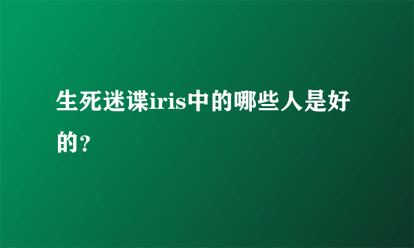 生死迷谍iris中的哪些人是好的？