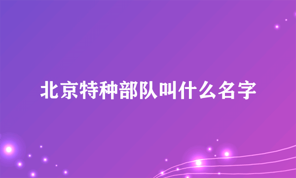 北京特种部队叫什么名字