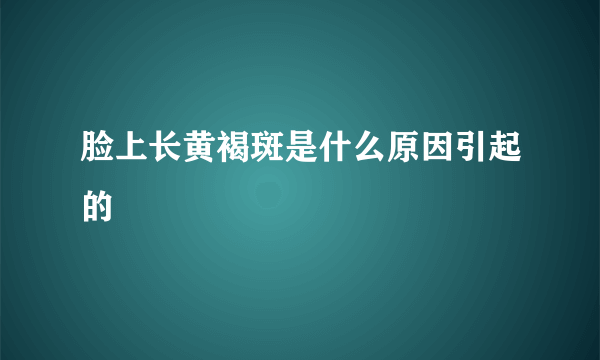 脸上长黄褐斑是什么原因引起的