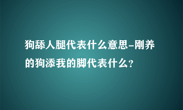 狗舔人腿代表什么意思-刚养的狗添我的脚代表什么？