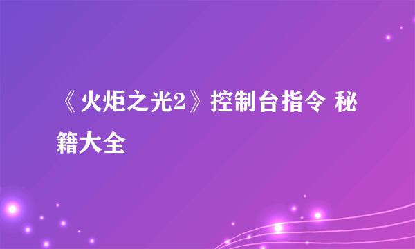 《火炬之光2》控制台指令 秘籍大全