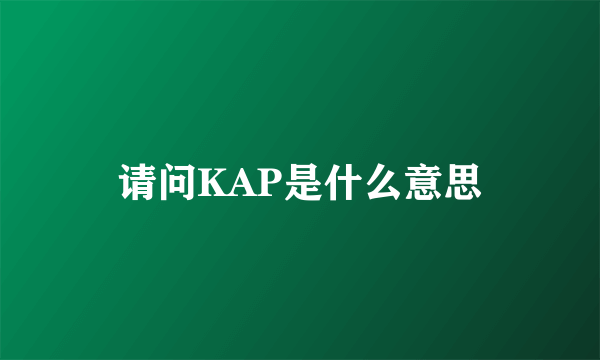 请问KAP是什么意思