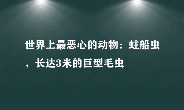 世界上最恶心的动物：蛀船虫，长达3米的巨型毛虫