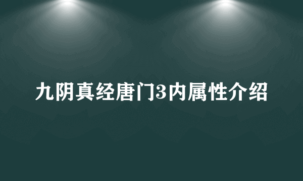 九阴真经唐门3内属性介绍