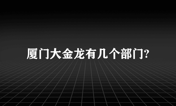 厦门大金龙有几个部门?