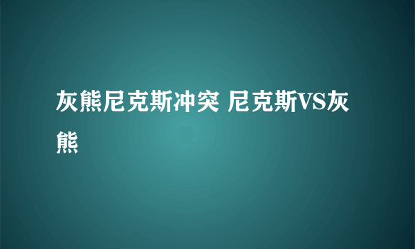 灰熊尼克斯冲突 尼克斯VS灰熊