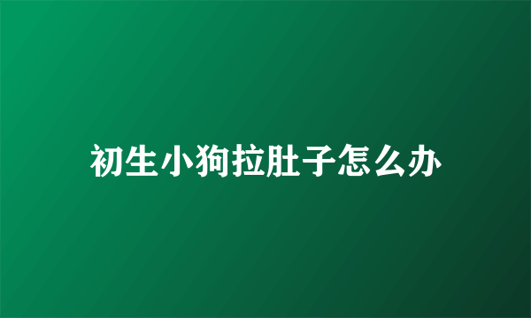 初生小狗拉肚子怎么办