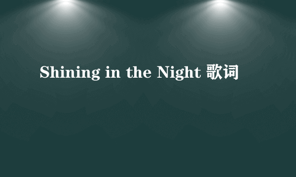 Shining in the Night 歌词