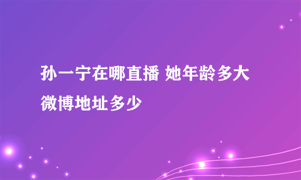 孙一宁在哪直播 她年龄多大 微博地址多少