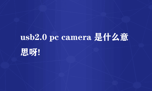 usb2.0 pc camera 是什么意思呀!