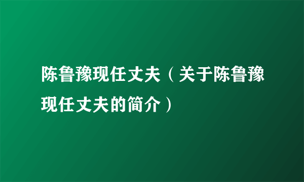 陈鲁豫现任丈夫（关于陈鲁豫现任丈夫的简介）