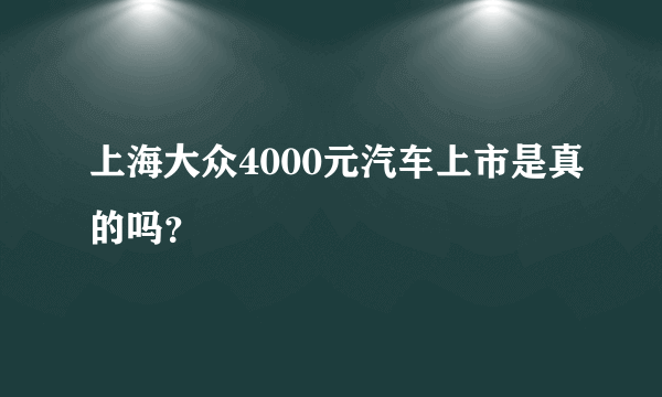 上海大众4000元汽车上市是真的吗？