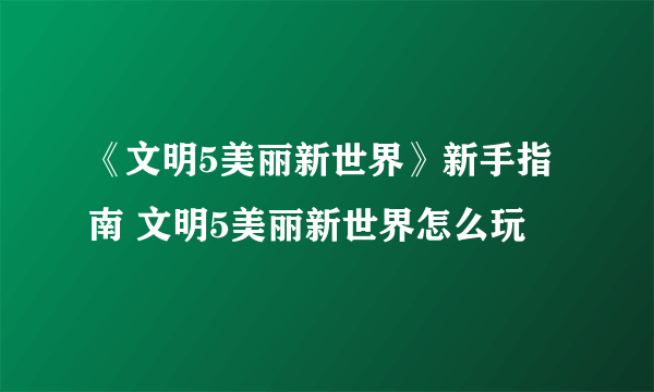 《文明5美丽新世界》新手指南 文明5美丽新世界怎么玩