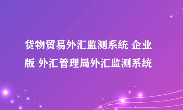 货物贸易外汇监测系统 企业版 外汇管理局外汇监测系统