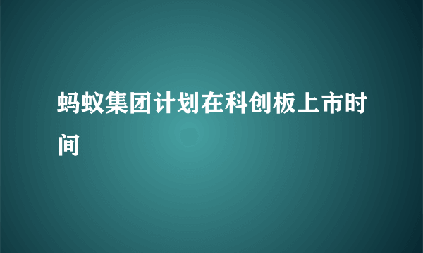 蚂蚁集团计划在科创板上市时间