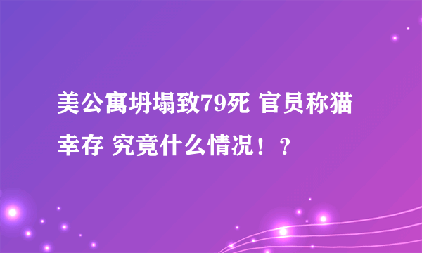 美公寓坍塌致79死 官员称猫幸存 究竟什么情况！？