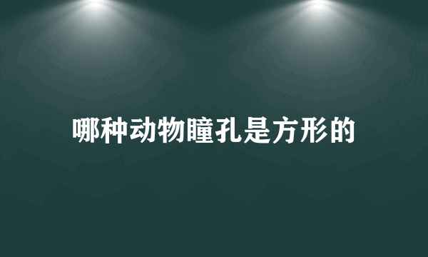 哪种动物瞳孔是方形的