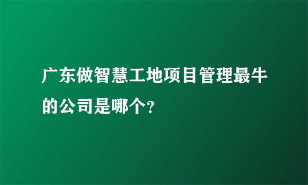 广东做智慧工地项目管理最牛的公司是哪个？