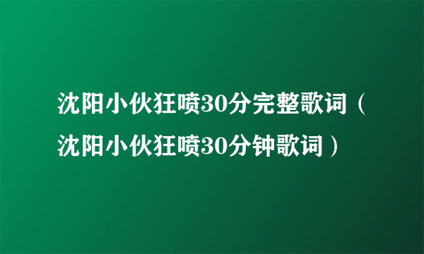 沈阳小伙狂喷30分完整歌词（沈阳小伙狂喷30分钟歌词）