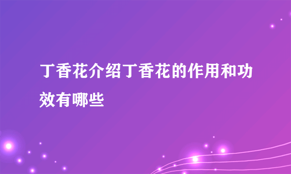 丁香花介绍丁香花的作用和功效有哪些