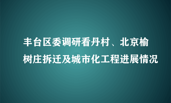 丰台区委调研看丹村、北京榆树庄拆迁及城市化工程进展情况