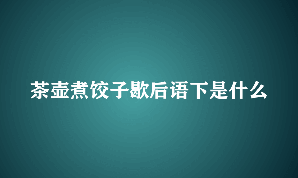 茶壶煮饺子歇后语下是什么