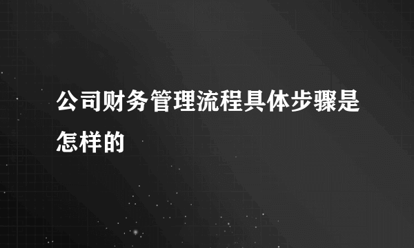 公司财务管理流程具体步骤是怎样的