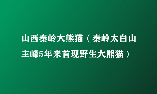 山西秦岭大熊猫（秦岭太白山主峰5年来首现野生大熊猫）