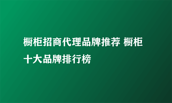 橱柜招商代理品牌推荐 橱柜十大品牌排行榜