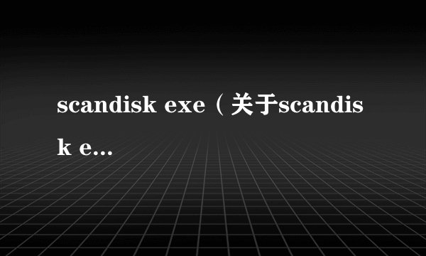 scandisk exe（关于scandisk exe的介绍）